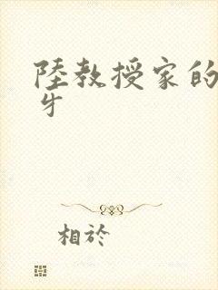 陆教授家的小月牙