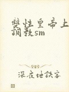 双性皇帝上朝被调教sm封面