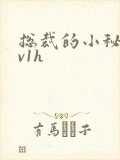 总裁的小秘书1v1h封面