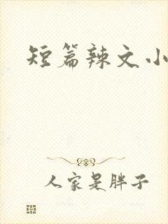 短篇辣文小说封面