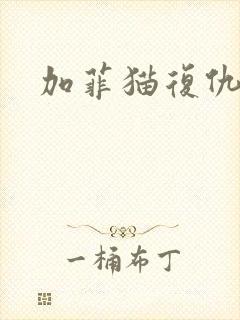 加菲猫复仇记封面