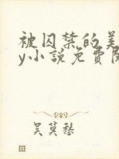 被囚禁的美人by小说免费阅读