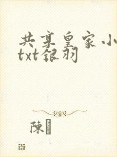 共享皇家小公主txt银羽