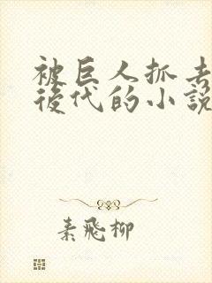 被巨人抓去繁衍后代的小说封面