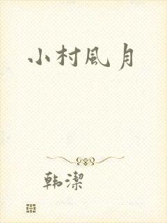 小村风月封面