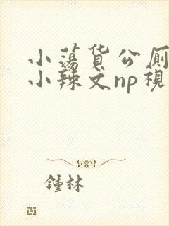 小荡货公厕h文小辣文np视频