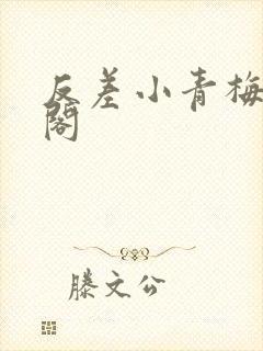 反差小青梅笔趣阁