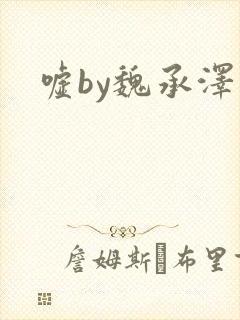 嘘by魏承泽封面