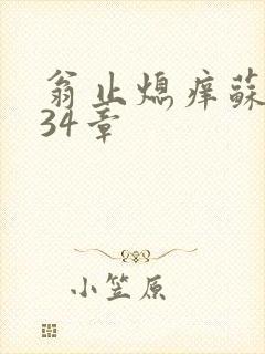 翁止熄痒苏钥第34章