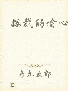 总裁的偷心娇妻