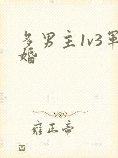 多男主1v3军婚封面
