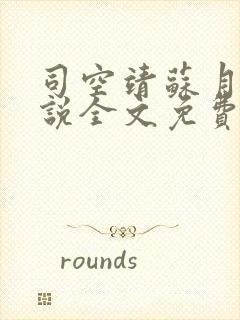 司空靖苏月汐小说全文免费阅读