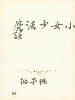 魔法少女小圆小说