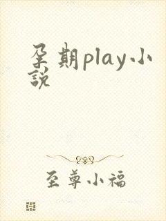 孕期play小说