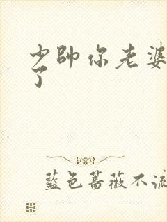 少帅你老婆又跑了