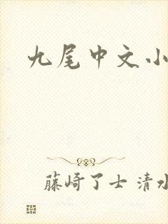 九尾中文小说网