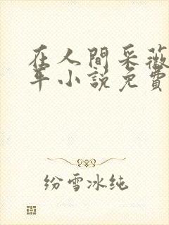 在人间采薇陆三平小说免费阅读