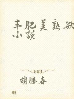 丰肥美熟欲妇乱小说封面