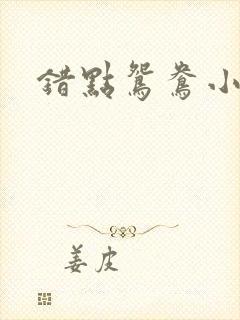 错点鸳鸯小说