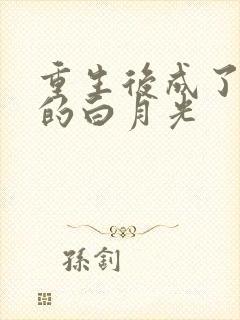 重生后成了皇帝的白月光封面