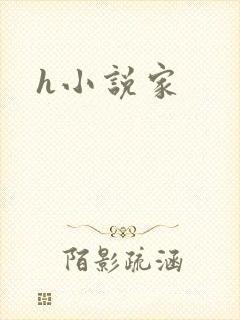 h小说家