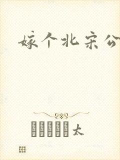 嫁个北宋公务员