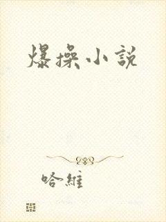 爆操小说