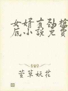 女婿有劲枪枪到底小说免费看封面