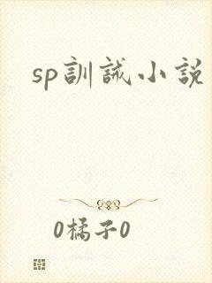 sp训诫小说