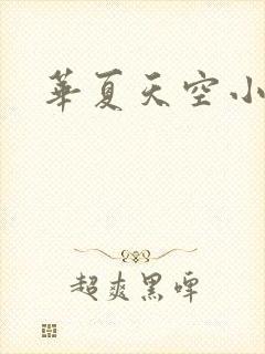 华夏天空小说网