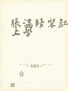 胀满精装肚子去上学封面