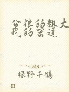 公狼的粗大挺进我的密道