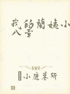 我的兰姨小说第八章封面
