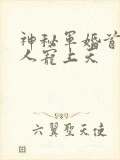 神秘军婚首长大人宠上天封面