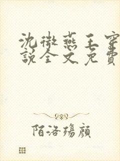 沈微燕王穿越小说全文免费阅读