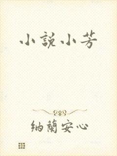 小说小芳
