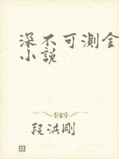 深不可测金银花小说封面