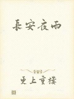 长安夜雨