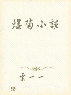 爆菊小说