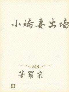 小娇妻出墙记封面