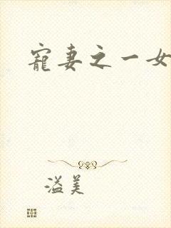 宠妻之一女二夫