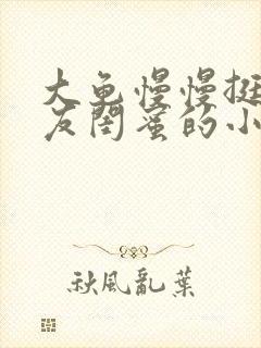 大龟慢慢挺进女友闺蜜的小说封面