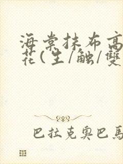 海棠抹布高岭之花(生/触/双)