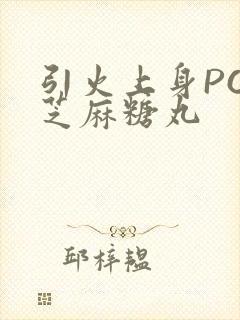 引火上身POP芝麻糖丸