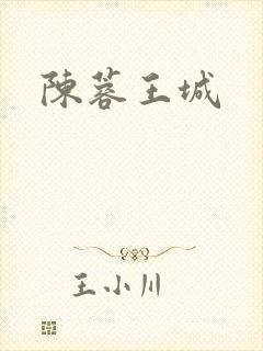 陈蓉王城封面