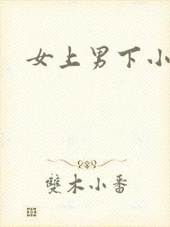 女上男下小说封面