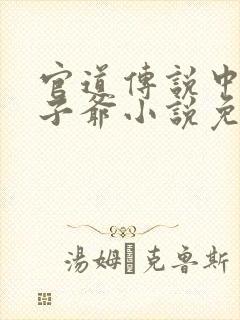 官道传说中的太子爷小说免费阅读