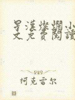 星汉灿烂小说全文免费阅读封面