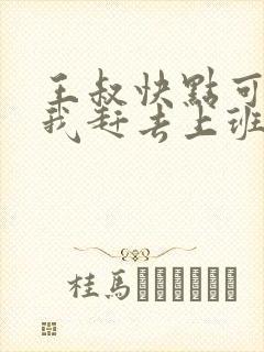 王叔快点可以吗我赶去上班封面