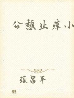 公憩止痒小说封面